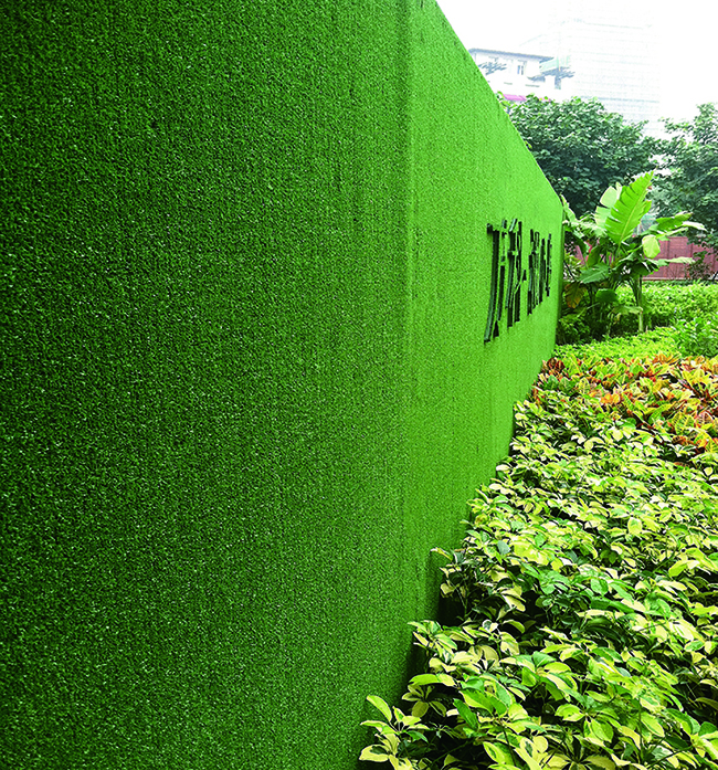 万科墙体绿化